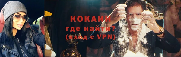 мяу мяу мука Абаза