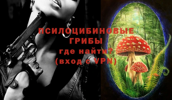 соль курить ск Алексеевка